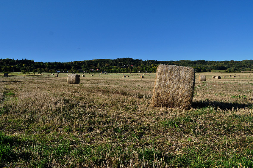 Autumn Colors 7