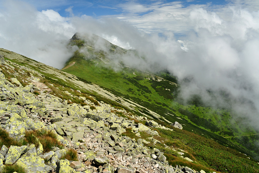 Cesta na Dumbier